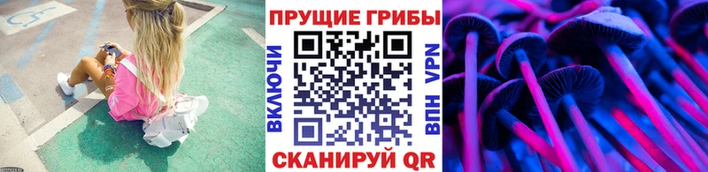 Псилоцибиновые грибы Cubensis  площадка как зайти  Бикин 